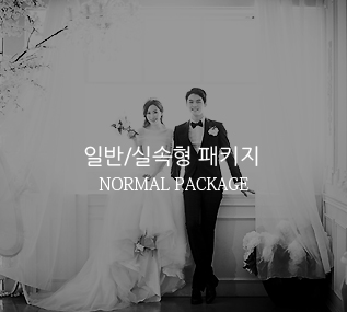 �Ϲ�/�Ǽ���